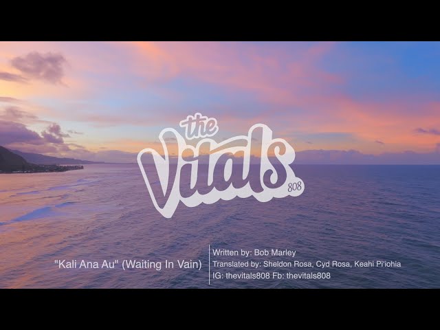 The Vitals 808 - Kali Ana Au (Waiting In Vain) [Official Lyric Video] class=