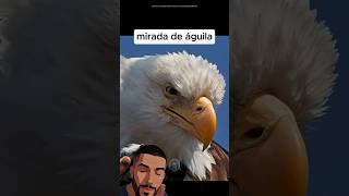la mirada del Águila Calva 😮