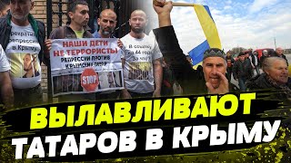 Массовые ОБЫСКИ И ЗАДЕРЖАНИЯ в Крыму! Кремль ищет представителей партизанского движения “Атеш”