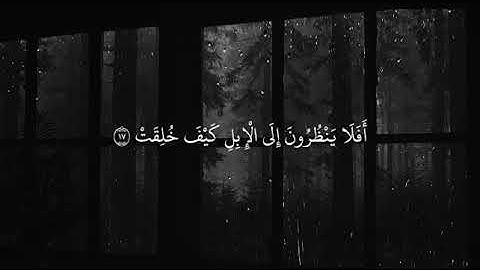سورة الغاشيه كامله للقارئ عبدالرحمن مسعد 💛تلاوه هادئه وخاشعه تريح القلب قبل النوم  ❤️