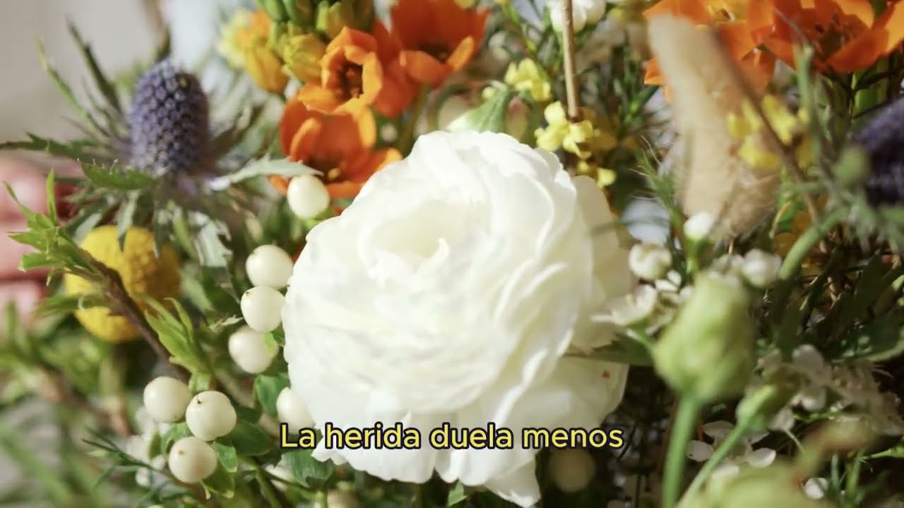 Watch Bruno Green - La Herida (Lyric Video) on YouTube Watch Bruno Green - La Herida (Lyric Video) on YouTube