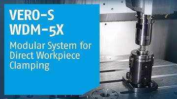 SCHUNK VERO-S WDM-5X