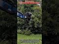 Precision Power The Ultimate Tree Trimmer in Action
