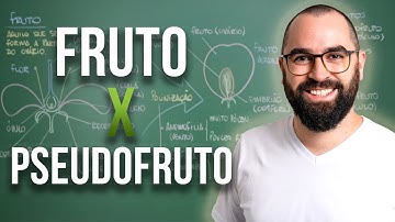 Fruto x Pseudofruto - Apêndice 1 - Módulo 5: Botânica
