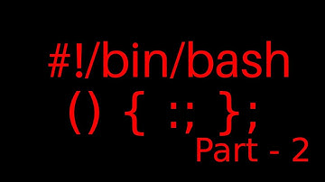 Shellshock attack on a remote web server - Part 2