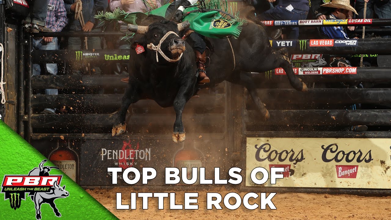 Top BULLS of Little Rock 2020 YouTube