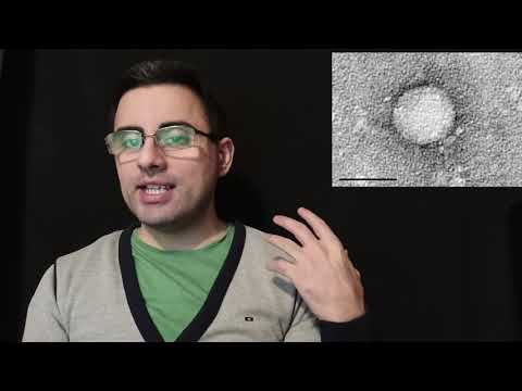 ჰეპატიტი C მარტივად ახსნილი. როგორ გადადის, სიმპტომები, მკურნალობა