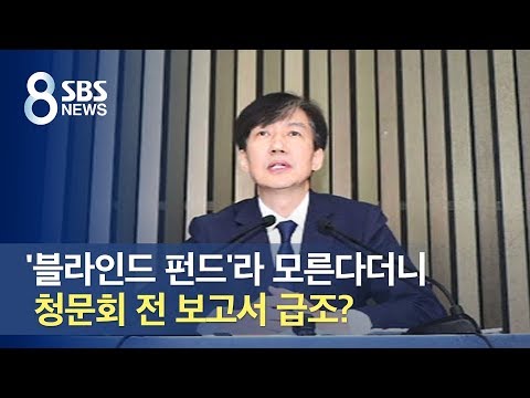 &amp;#39;블라인드 펀드&amp;#39;라 모른다더니…청문회 전 보고서 급조? / SBS