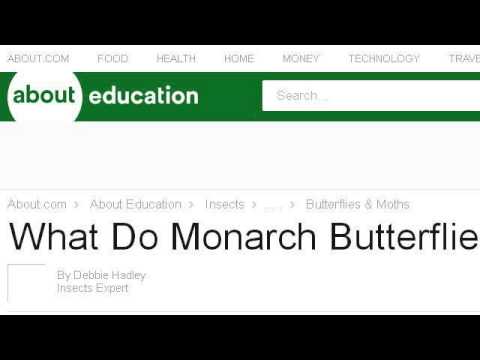 camera iphone 8 plus apk What Do Moths Eat In The Wild?