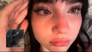 Cat Purring + Close Up Ramble ASMR