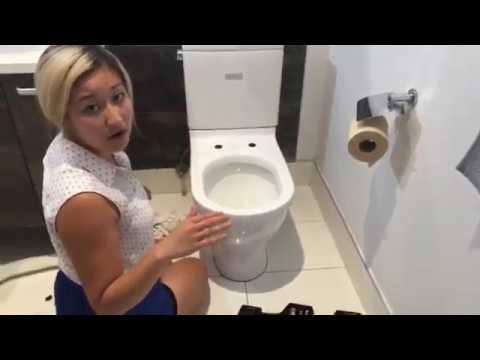 Video: Tushy Hjälper Dig Att Konvertera Vilken Toalett Som Helst Till Ett Bidé För Bara $ 99