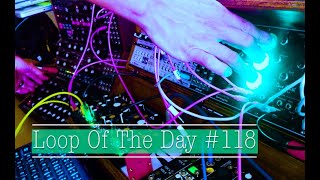 Loop of the Day #118 - Distorted Analog Drums via Moog DFAM - HARD LOOP!!!