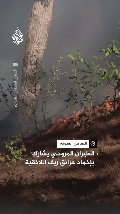       
 - نشر قبل 13 دقيقة