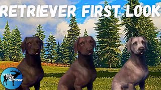 First Look At The New Labrador Retriever EW Stream Highlights! TheHunter Call Of The Wild