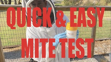 BEEKEEPING  - Varroa Mite check UNDER 2 MINUTES - Quick Alcohol Mite Test
