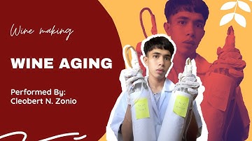 ZONIO - Wine Aging (Pasteurization)