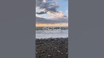 قرآن كريم .. تلاوة من سورة المعارج للقارئ إسلام صبحي #المصحف #راحة_نفسية
