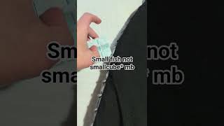 smallfish infinity cube review. 5 stars tbh #infinitycube #review #amazon #amazongadgets