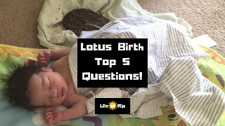 Lotus Birth: Top 5 Questions i have been asked Lotus Birth Belly Button