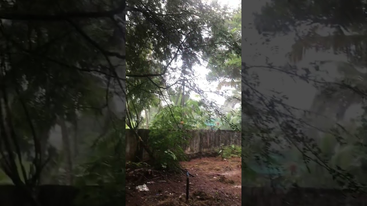 Kerala Rain 