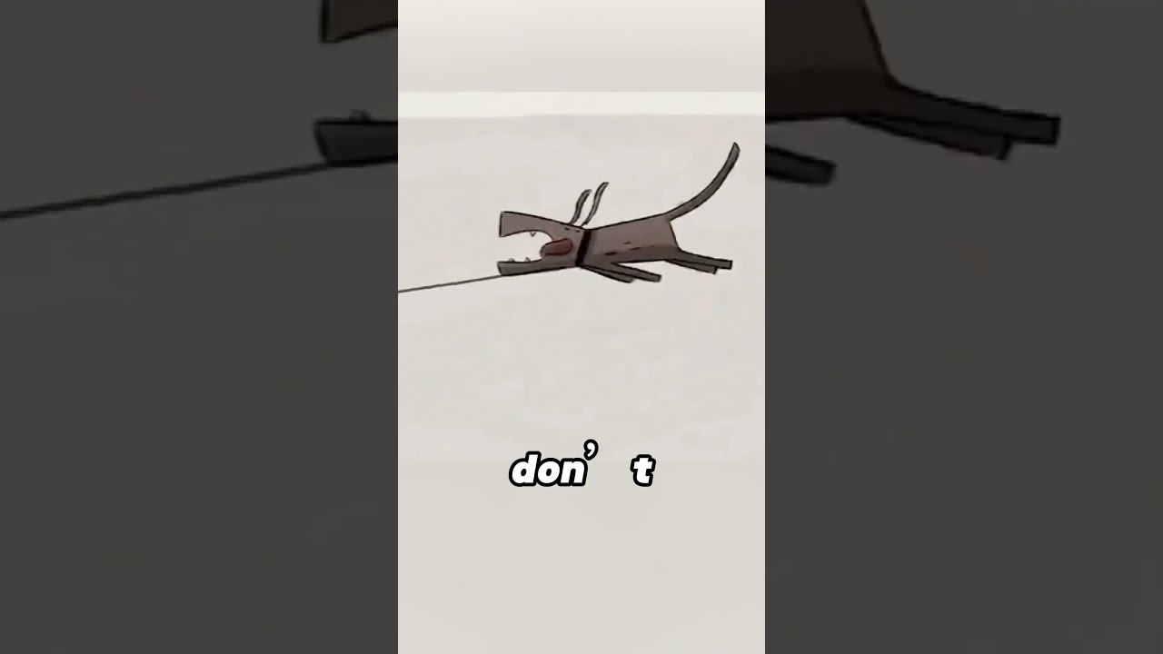 People have grown used to a world of strong winds 