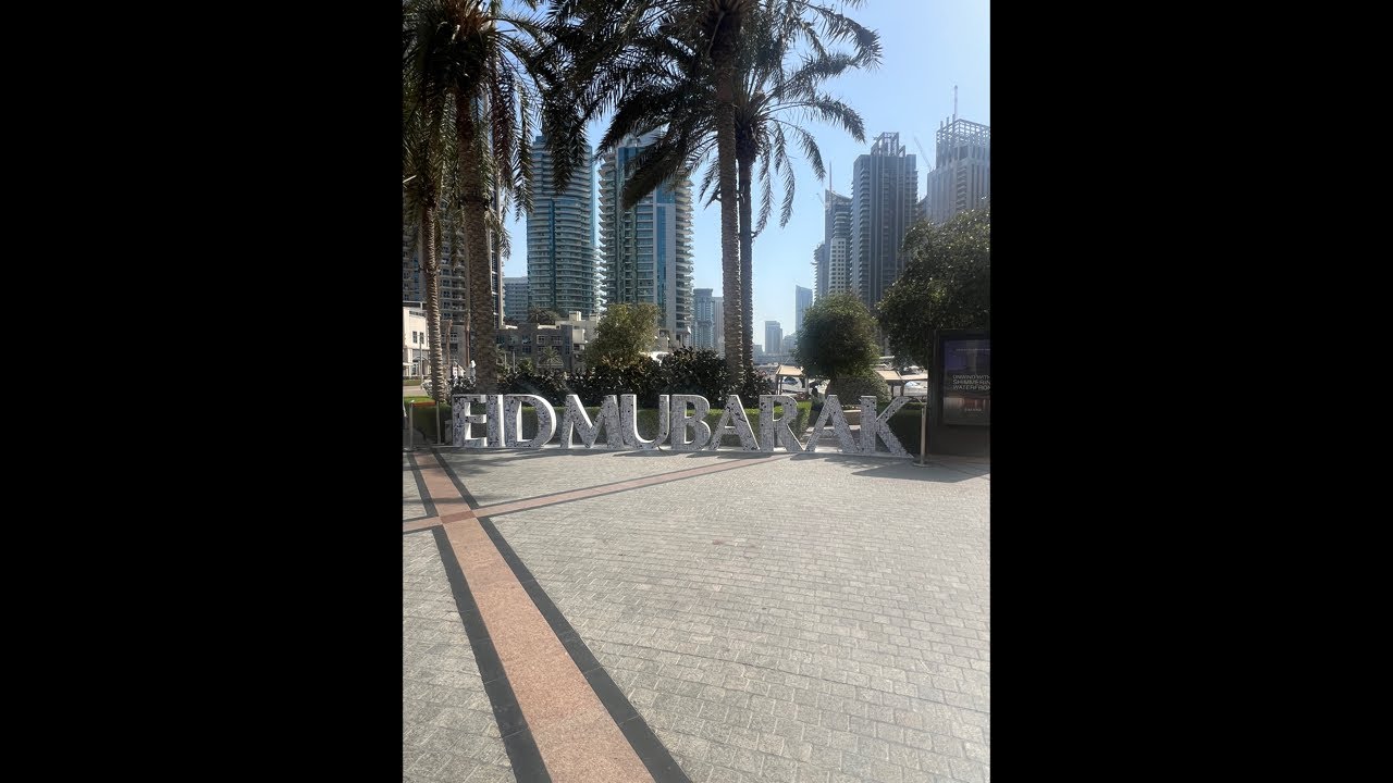 Silent Live Stream | Marina View