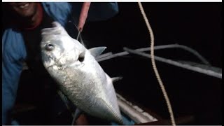 puno ang aming ice box sa mga isdang ito, handline fishing