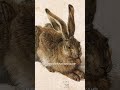 Art Genres Explained in 30 Seconds. Part 2