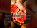 Make It Make Sense: What is a guava? | Column