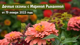 Дачные сезоны с Мариной Рыкалиной от 19 января 2023 года