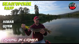 Рыбалка на Белогорском водохранилище, ловля щуки в Крыму!