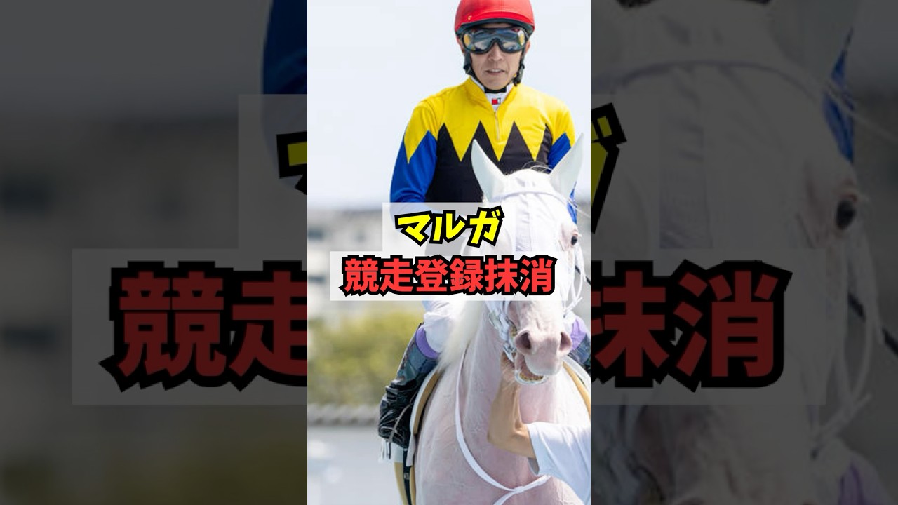【なにがあった】マルガ、突然の競走登録抹消 #shorts