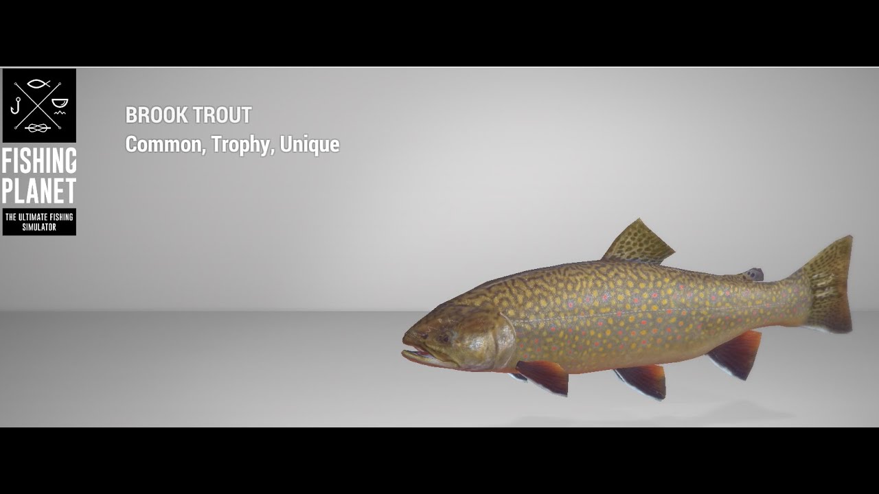 fishing planet trout float white moose lake