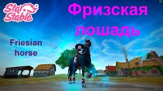 Стар Стейбл Фризская Лошадь Аллюры. Friesian Horse In Star Stable Online. Paces.