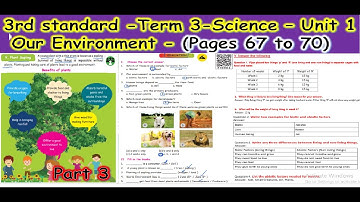 3rd STD - TERM 3 - SCIENCE - UNIT 1 - OUR ENVIRONMENT - WITH EXPLANATION & ANSWERS - PART 3