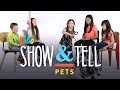 Pets | Show and Tell | HiHo Kids