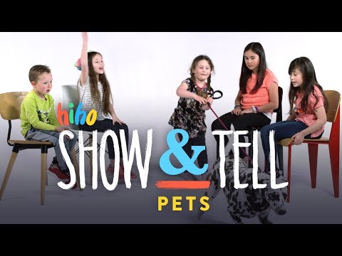 Video: How To Organize An Animal Show
