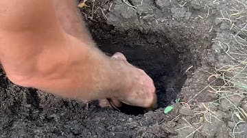 TALS - soil automatically aggrading through water management and plant progression