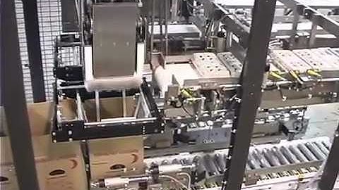 Massman Automation Top Load Case Packer for Cartons of Eggs.mov