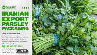 Iranian Export Parsley Packaging