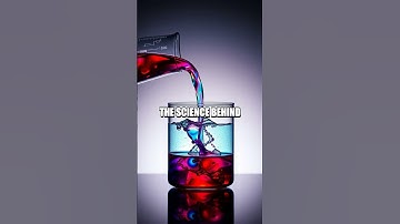 The Spark Lab Chronicles Five Surprising Experiments