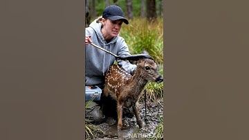 Giant Leech Attack@Mamaha-ai