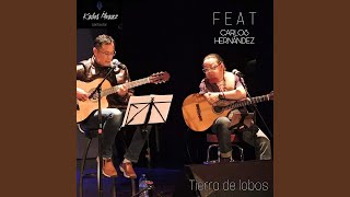 Tierra de Lobos