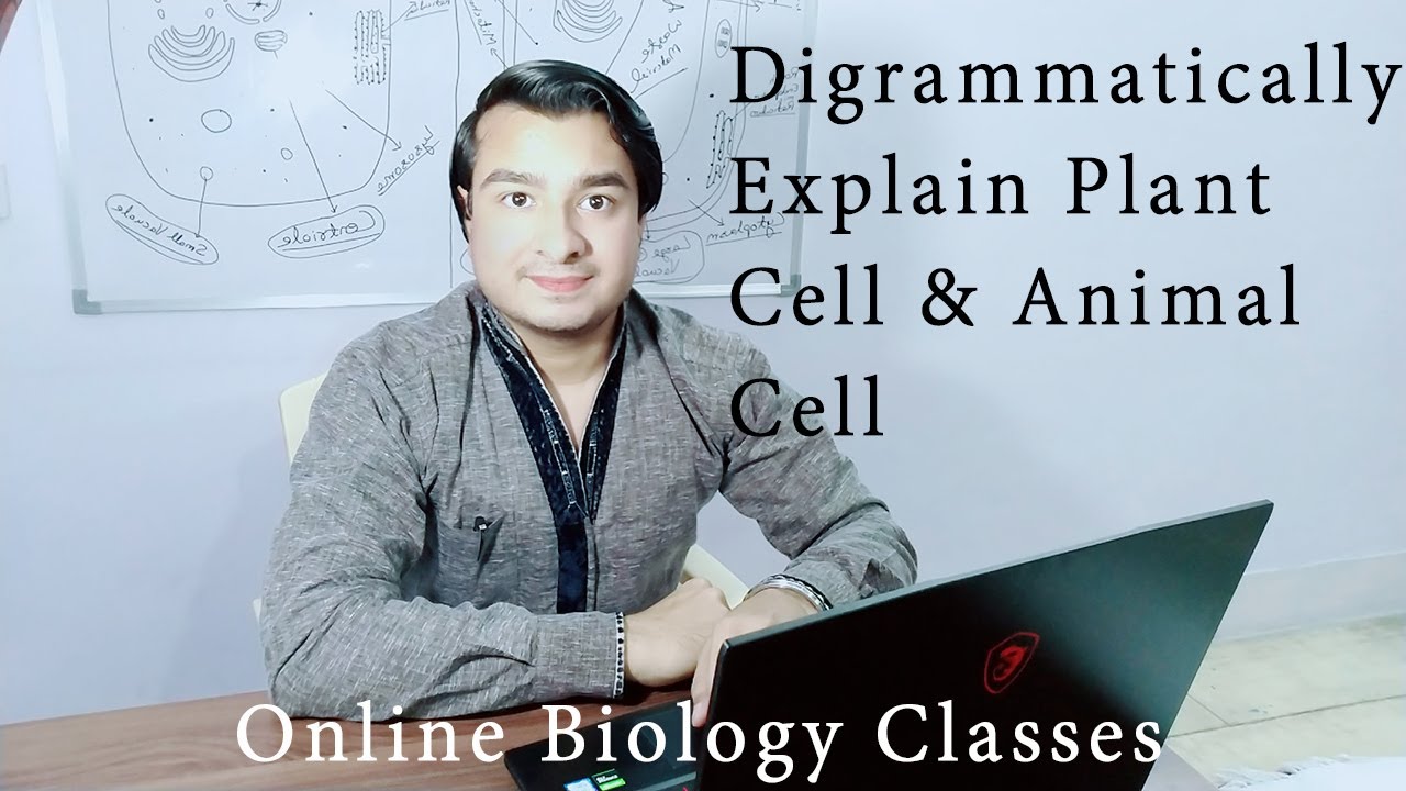 Diagrammatically Explain Plant Cell and Animal Cell - Live Stream - YouTube