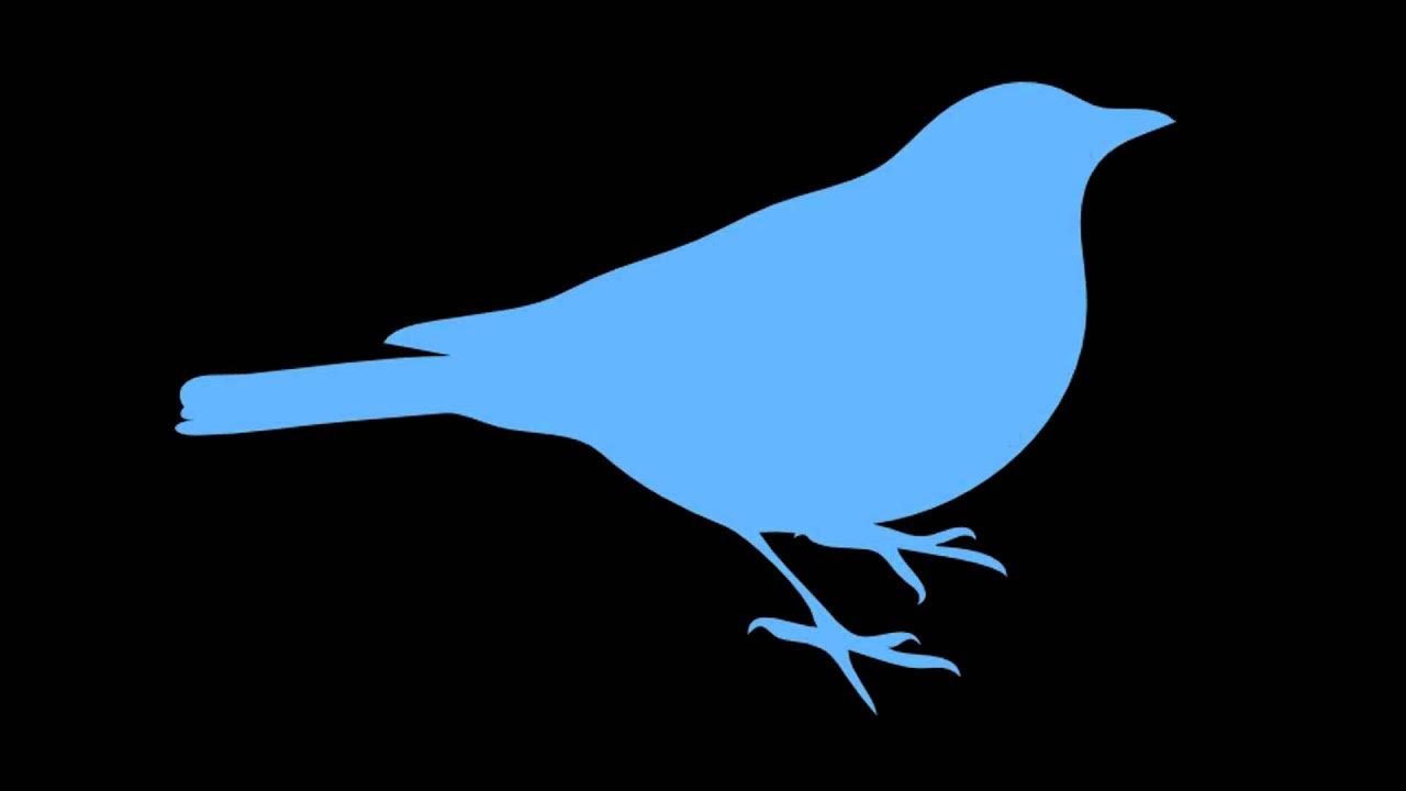 Bird Tweeting and Chirping Noises ( 1 Hour ) - YouTube