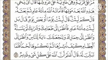 صفحة 43 من القرآن الكريم مكررة 10 مرات بصوت الشيخ فارس عباد