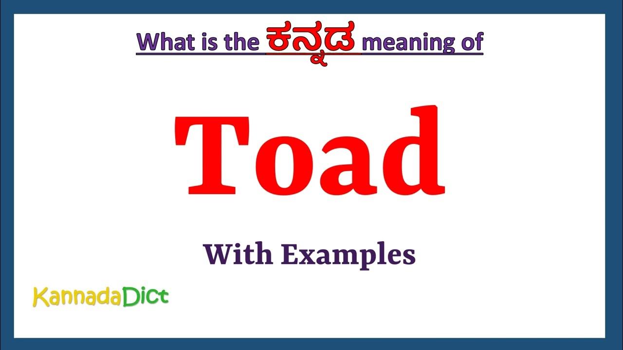 toad-meaning-in-kannada-toad-in-kannada-toad-in-kannada-dictionary
