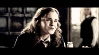 Draco ღ Hermione : Это моя жизнь. Мой выбор.