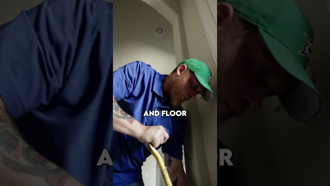 Water damage Restoration Process. #waterdamage #waterdamagecleanup #mold #restore #flood #24hours