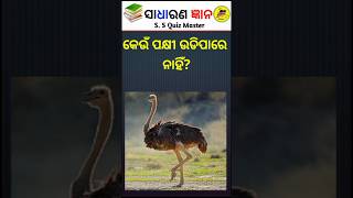 Birds Gk 🤔💯ll Gk question and answer😨 । Odia gk question ll Top10gk question#shorts#gk #odiagktoday
